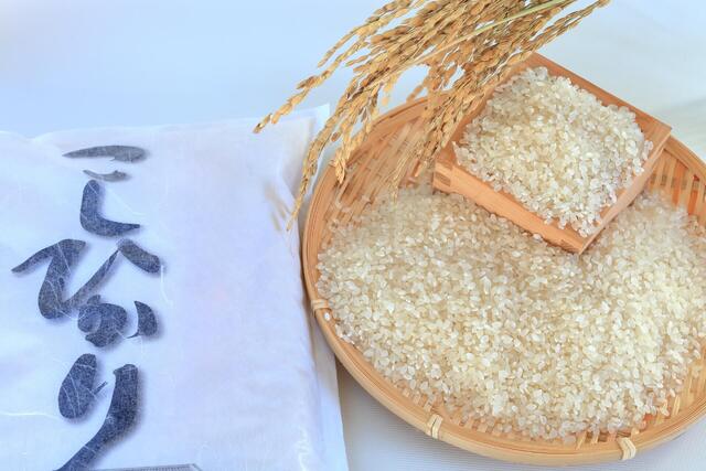 産地が生み出すブランド米の個性と魅力