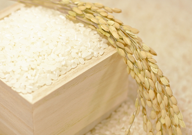 升いっぱいに盛られたお米と稲