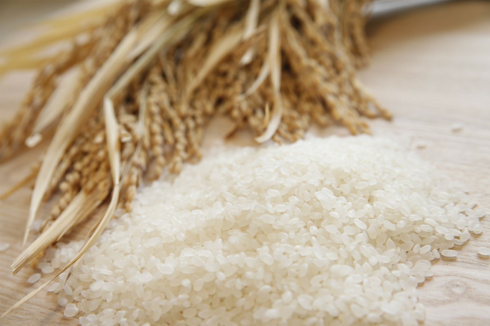 広げられたお米と稲